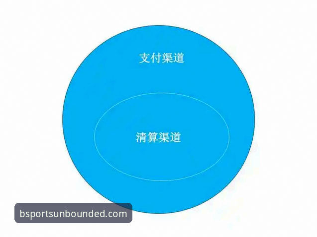 B体育平台全面解析：下载安装流程、核心功能与安全验证深度分析